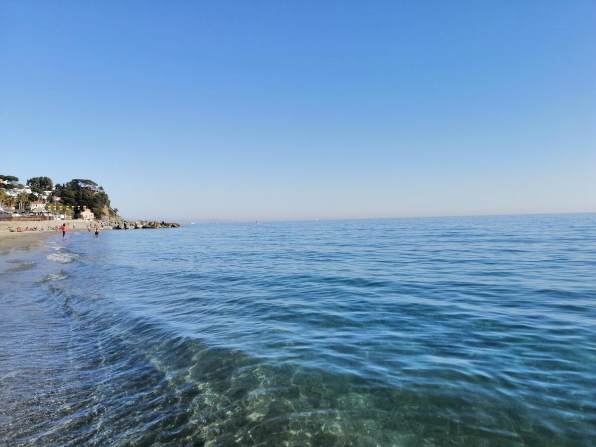 Albergo Blue Fish Albisola Superiore Zewnętrze zdjęcie